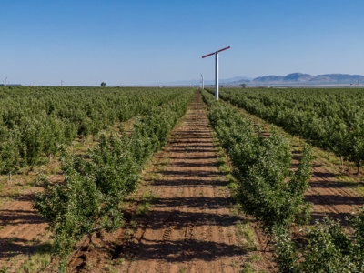 Tract 5 Organic Apple Orchard Auction, Willcox, AZ - image 4