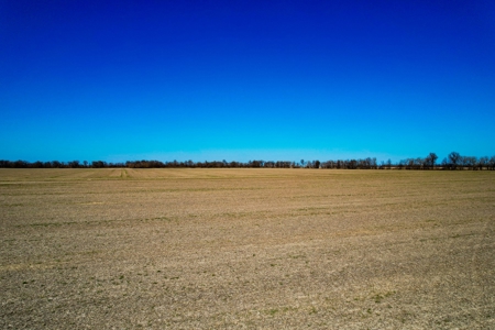 Online Auction 160 Acres Barton Co Mo - image 15