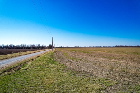 Online Auction 160 Acres Barton Co Mo - image 14