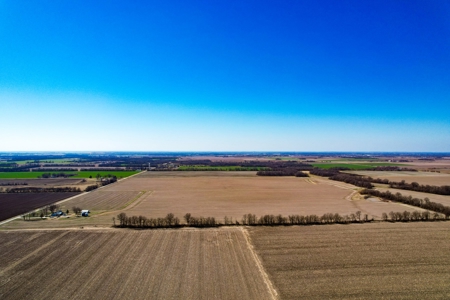 Online Auction 160 Acres Barton Co Mo - image 4