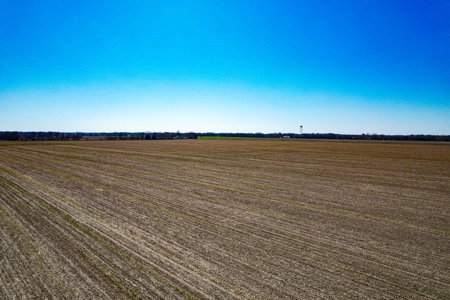 Online Auction 160 Acres Barton Co Mo - image 16