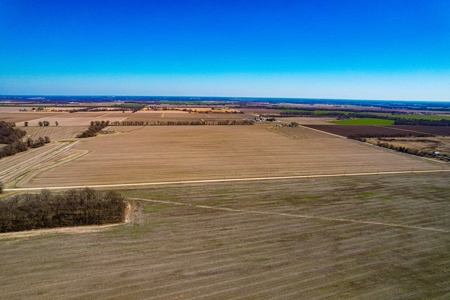 Online Auction 160 Acres Barton Co Mo - image 3