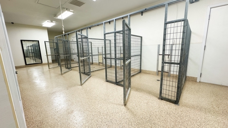Online Auction Luxury Home & Commercial Kennel - image 33