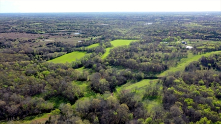 40 Ac +/- Tract 1 of 4 No Reserve Land Auction Asher, OK - image 5
