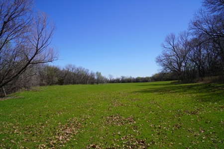 40 Ac +/- Tract 1 of 4 No Reserve Land Auction Asher, OK - image 11