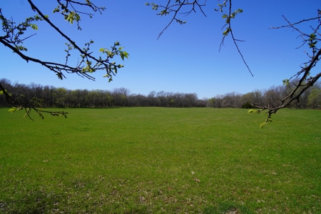 40 Ac +/- Tract 1 of 4 No Reserve Land Auction Asher, OK - image 12