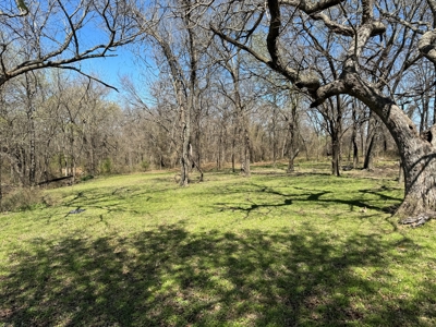 40 Ac +/- Tract 1 of 4 No Reserve Land Auction Asher, OK - image 7