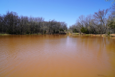 40 Ac +/- Tract 1 of 4 No Reserve Land Auction Asher, OK - image 15