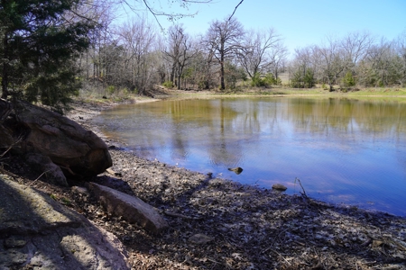 40 Ac +/- Tract 1 of 4 No Reserve Land Auction Asher, OK - image 17