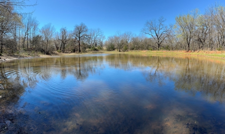 40 Ac +/- Tract 1 of 4 No Reserve Land Auction Asher, OK - image 6