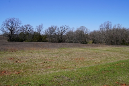 40 Ac +/- Tract 2 of 4 No Reserve Land Auction Asher, OK - image 5