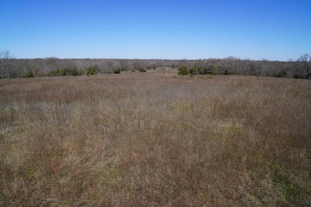40 Ac +/- Tract 2 of 4 No Reserve Land Auction Asher, OK - image 2