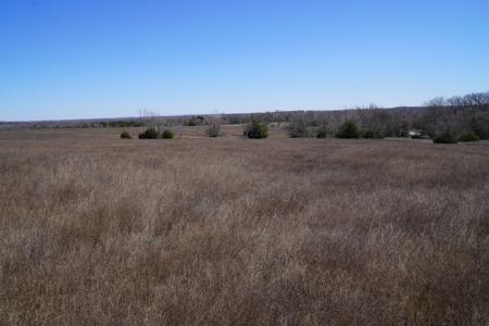 40 Ac +/- Tract 2 of 4 No Reserve Land Auction Asher, OK - image 3