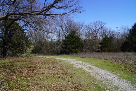 80 Ac +/- Tract 4 of 4 No Reserve Land Auction Asher, OK - image 10