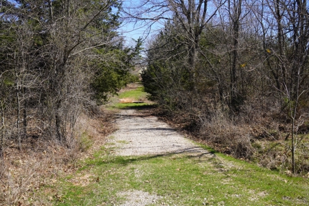 80 Ac +/- Tract 4 of 4 No Reserve Land Auction Asher, OK - image 1
