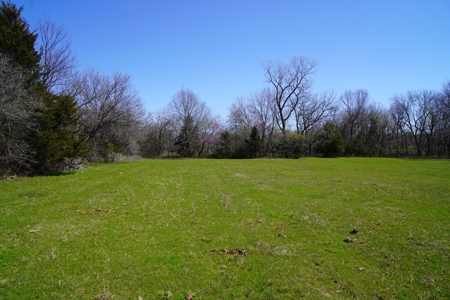 80 Ac +/- Tract 4 of 4 No Reserve Land Auction Asher, OK - image 5