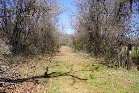 80 Ac +/- Tract 4 of 4 No Reserve Land Auction Asher, OK - image 9