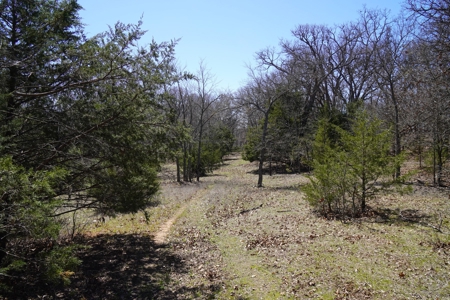 80 Ac +/- Tract 4 of 4 No Reserve Land Auction Asher, OK - image 8