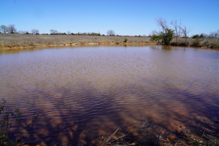 80 Ac +/- Tract 4 of 4 No Reserve Land Auction Asher, OK - image 6