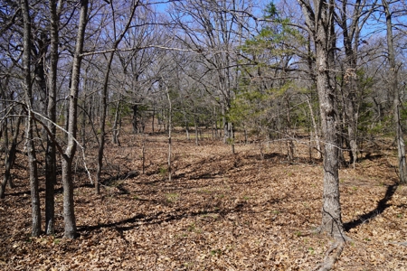 80 Ac +/- Tract 4 of 4 No Reserve Land Auction Asher, OK - image 11