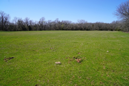 80 Ac +/- Tract 4 of 4 No Reserve Land Auction Asher, OK - image 4
