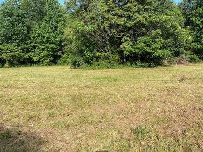 Country Home w/ Walk-Out Basement, Building Lots & Acreage - image 14