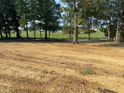 Country Home w/ Walk-Out Basement, Building Lots & Acreage - image 7