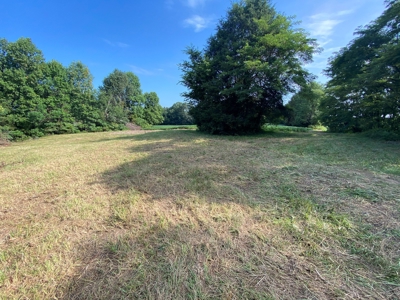 Country Home w/ Walk-Out Basement, Building Lots & Acreage - image 13