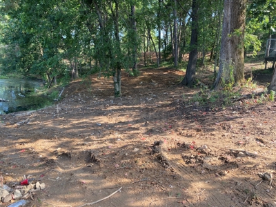 Country Home w/ Walk-Out Basement, Building Lots & Acreage - image 4