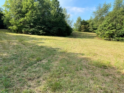 Country Home w/ Walk-Out Basement, Building Lots & Acreage - image 15