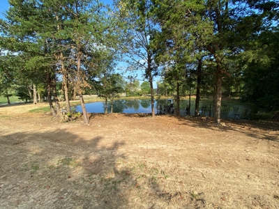 Country Home w/ Walk-Out Basement, Building Lots & Acreage - image 28