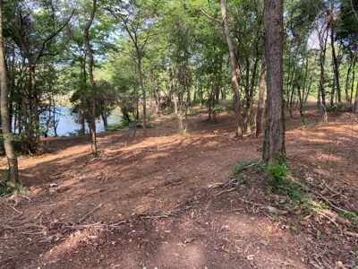 Country Home w/ Walk-Out Basement, Building Lots & Acreage - image 21