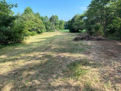 Country Home w/ Walk-Out Basement, Building Lots & Acreage - image 20