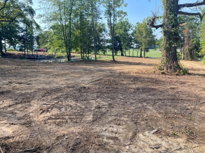 Country Home w/ Walk-Out Basement, Building Lots & Acreage - image 11