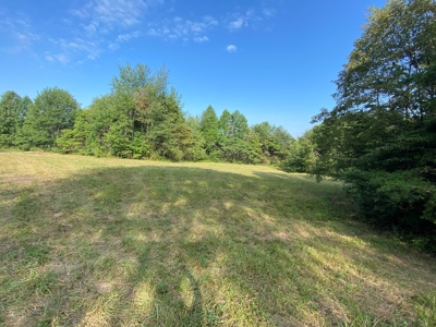 Country Home w/ Walk-Out Basement, Building Lots & Acreage - image 12