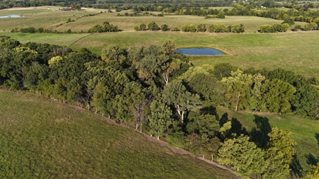 Auction Coming Soon! Home & Improvements on 80+/- Acres - image 2