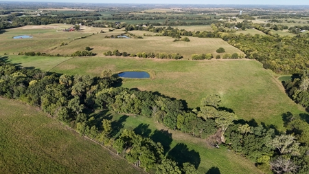 Auction Coming Soon! Home & Improvements on 80+/- Acres - image 10