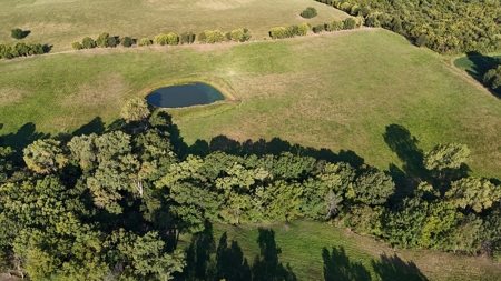 Auction Coming Soon! Home & Improvements on 80+/- Acres - image 5