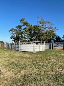 Auction Coming Soon! Home & Improvements on 80+/- Acres - image 21
