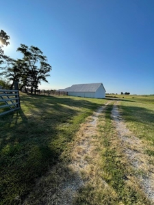 Auction Coming Soon! Home & Improvements on 80+/- Acres - image 26