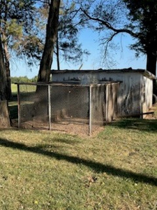 Auction Coming Soon! Home & Improvements on 80+/- Acres - image 31