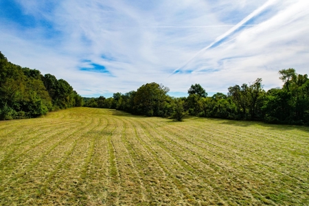 Cass County MO Land Auction - image 4