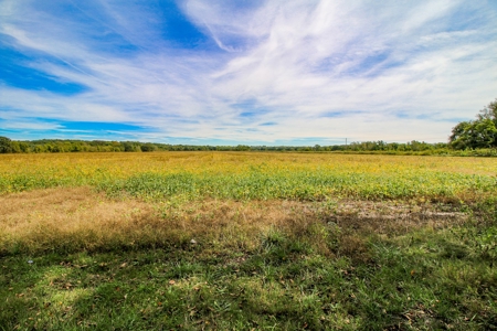 Cass County MO Land Auction - image 43