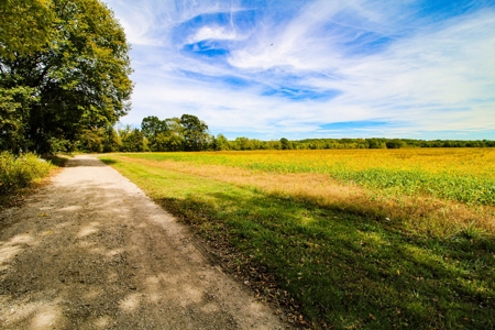 Cass County MO Land Auction - image 42