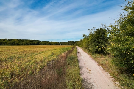 Cass County MO Land Auction - image 6