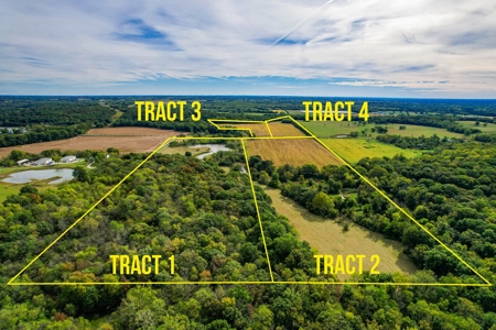 Cass County MO Land Auction - image 44