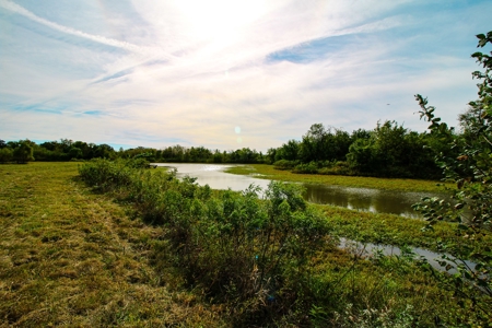 Cass County MO Land Auction - image 13