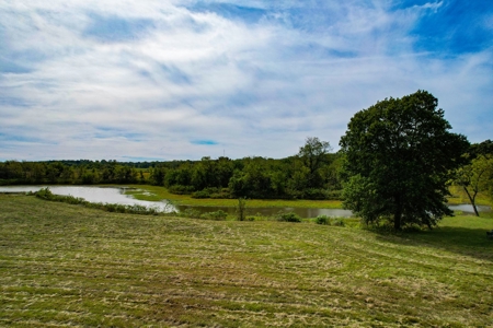 Cass County MO Land Auction - image 12