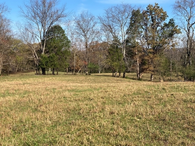 Cattle Farm, Home Building Sites & Mini-Farms For Sale - image 13