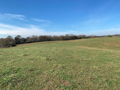 Cattle Farm, Home Building Sites & Mini-Farms For Sale - image 31